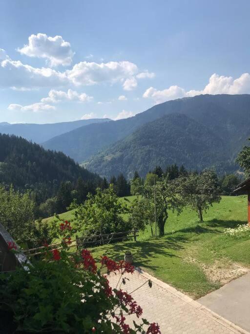 Tourist Farm Kladje Villa Ljubno Exterior photo