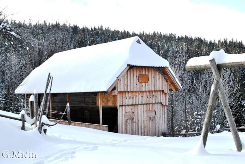 Tourist Farm Kladje Villa Ljubno Exterior photo
