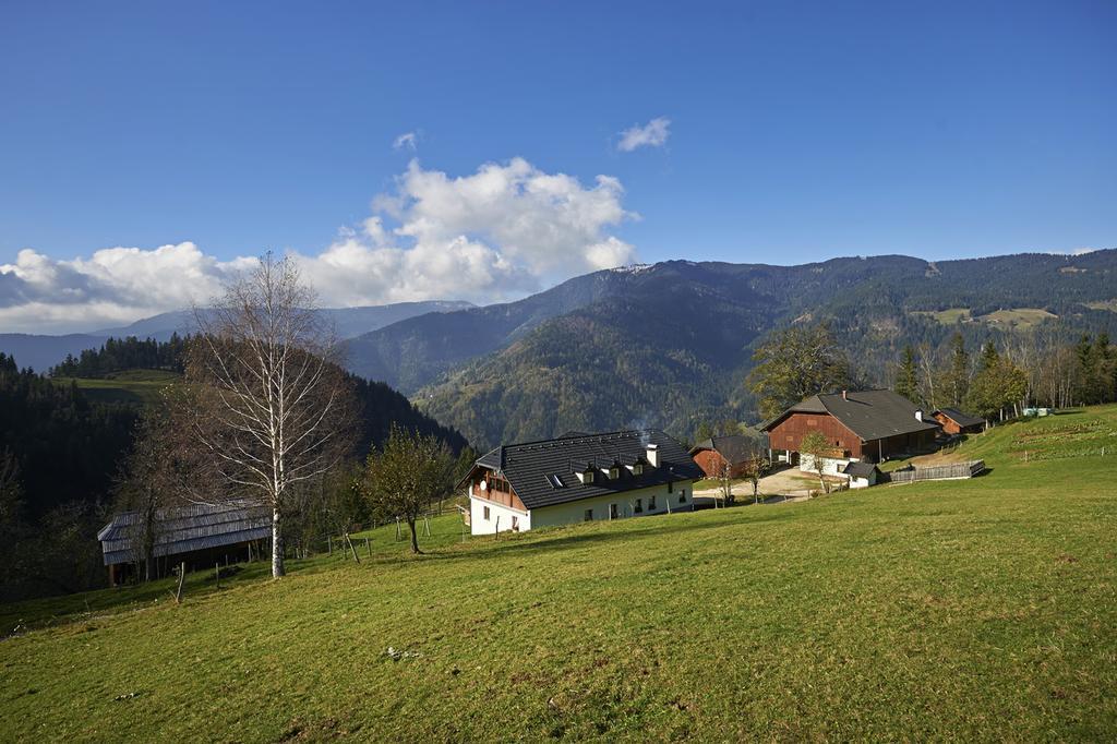 Tourist Farm Kladje Villa Ljubno Exterior photo